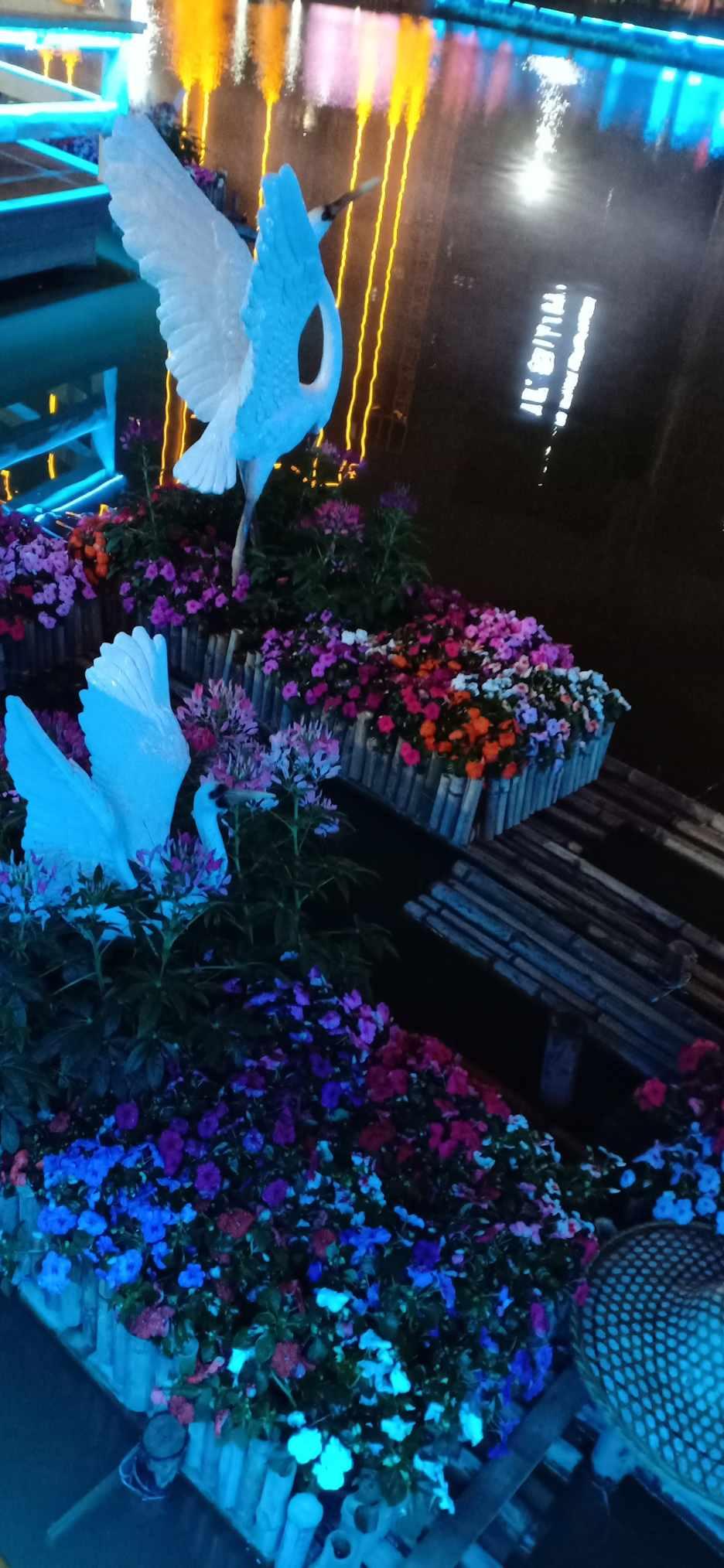 魔狐泡泡龙